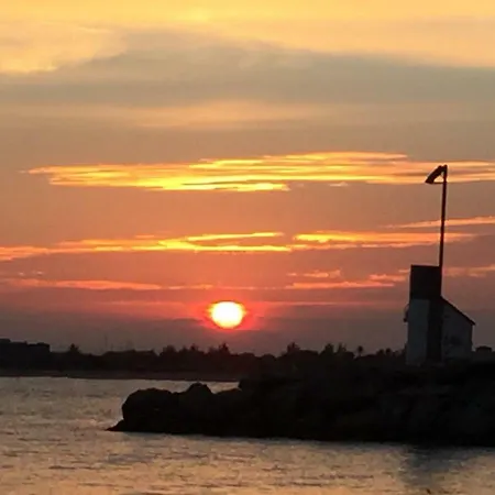 Maison Margo Roses